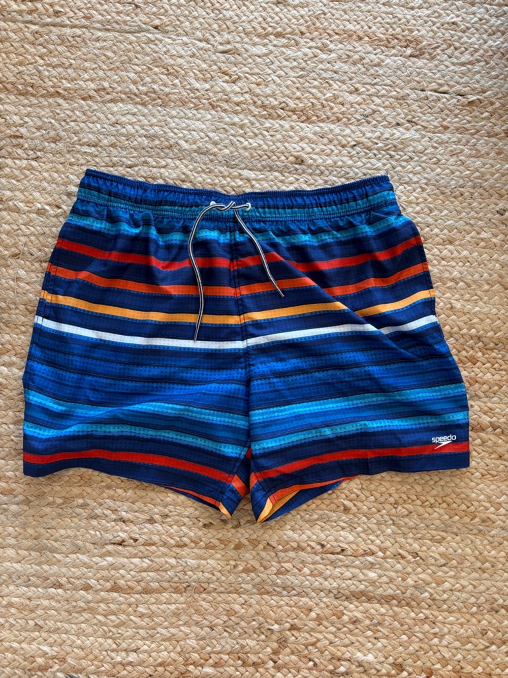Speedo Men's Multicolor Striped Swim Trunks